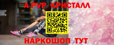 ECSTASY Кимры
